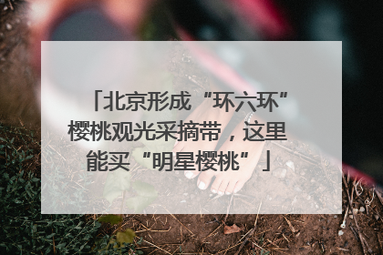 北京形成“环六环”樱桃观光采摘带，这里能买“明星樱桃”