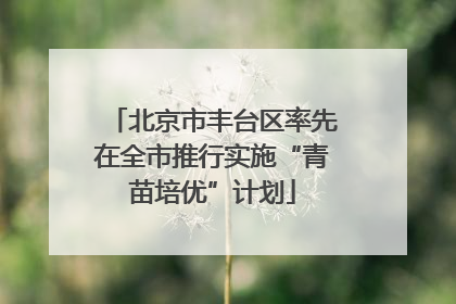 北京市丰台区率先在全市推行实施“青苗培优”计划