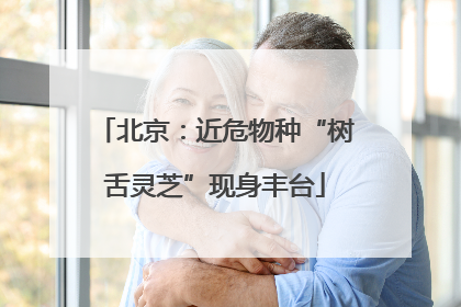 北京：近危物种“树舌灵芝”现身丰台