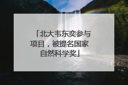 北大韦东奕参与项目，被提名国家自然科学奖