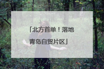 北方首单！落地青岛自贸片区
