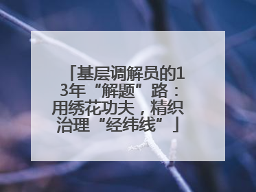 基层调解员的13年“解题”路：用绣花功夫，精织治理“经纬线”