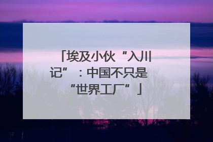 埃及小伙“入川记”：中国不只是“世界工厂”