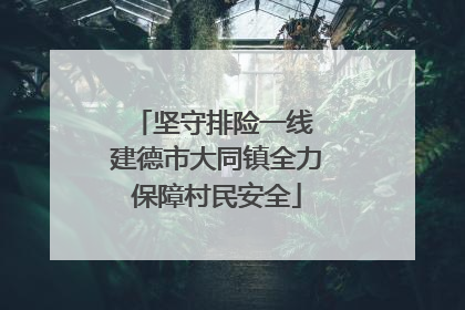 坚守排险一线 建德市大同镇全力保障村民安全