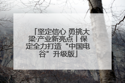 坚定信心 勇挑大梁·产业新亮点丨保定全力打造“中国电谷”升级版
