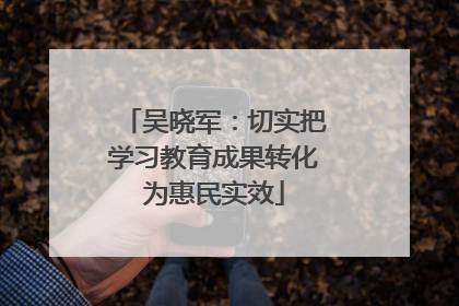 吴晓军：切实把学习教育成果转化为惠民实效