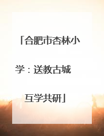 合肥市杏林小学：送教古城 互学共研
