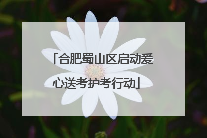 合肥蜀山区启动爱心送考护考行动