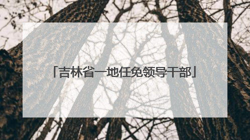 吉林省一地任免领导干部