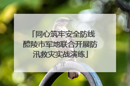 同心筑牢安全防线 醴陵市军地联合开展防汛救灾实战演练