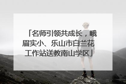 名师引领共成长，峨眉实小、乐山市白兰花工作站送教南山学区