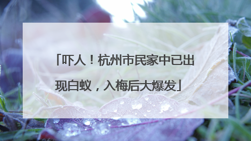 吓人！杭州市民家中已出现白蚁，入梅后大爆发