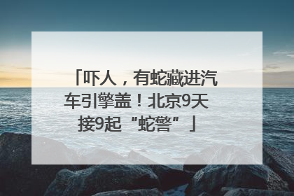 吓人，有蛇藏进汽车引擎盖！北京9天接9起“蛇警”