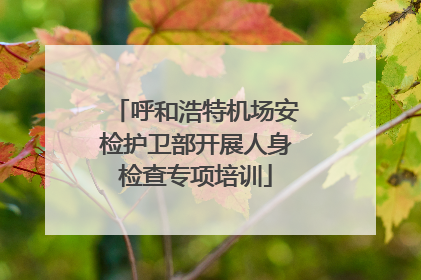 呼和浩特机场安检护卫部开展人身检查专项培训