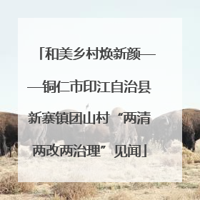 和美乡村焕新颜——铜仁市印江自治县新寨镇团山村“两清两改两治理”见闻