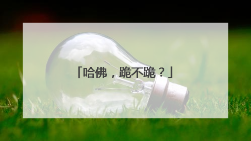 哈佛，跪不跪？