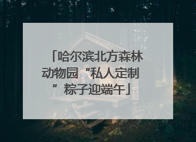 哈尔滨北方森林动物园“私人定制”粽子迎端午