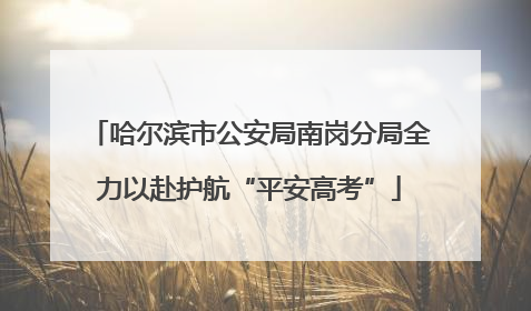 哈尔滨市公安局南岗分局全力以赴护航“平安高考”
