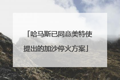 哈马斯已同意美特使提出的加沙停火方案