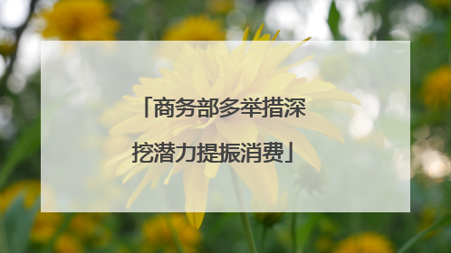 商务部多举措深挖潜力提振消费