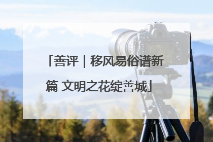 善评｜移风易俗谱新篇 文明之花绽善城