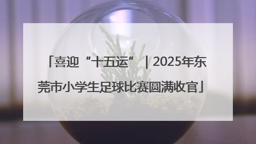 喜迎“十五运”｜2025年东莞市小学生足球比赛圆满收官