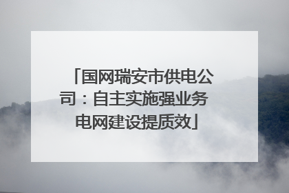 国网瑞安市供电公司：自主实施强业务 电网建设提质效