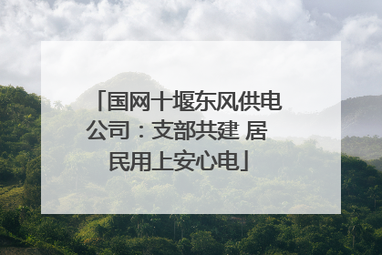 国网十堰东风供电公司：支部共建 居民用上安心电