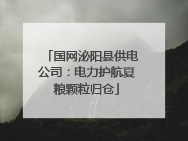 国网泌阳县供电公司：电力护航夏粮颗粒归仓