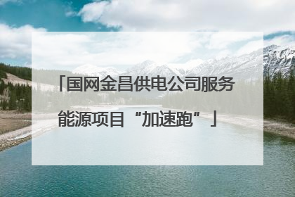 国网金昌供电公司服务能源项目“加速跑”