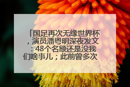 国足再次无缘世界杯，演员潘粤明深夜发文：48个名额还是没我们啥事儿；此前曾多次为国足发声