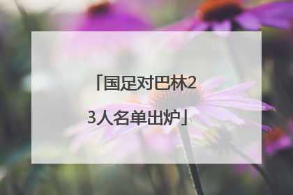 国足对巴林23人名单出炉