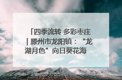 四季流转 多彩枣庄｜滕州市龙阳镇：“龙湖月色”向日葵花海 绘就乡村振兴新画卷