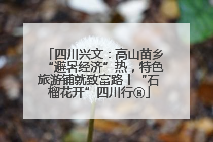 四川兴文：高山苗乡“避暑经济”热，特色旅游铺就致富路丨“石榴花开”四川行⑧