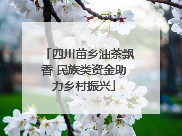 四川苗乡油茶飘香 民族类资金助力乡村振兴