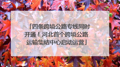 四条跨境公路专线同时开通！河北首个跨境公路运输集结中心启动运营