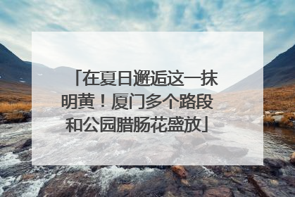 在夏日邂逅这一抹明黄！厦门多个路段和公园腊肠花盛放