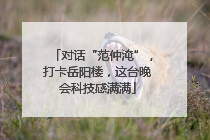 对话“范仲淹”，打卡岳阳楼，这台晚会科技感满满