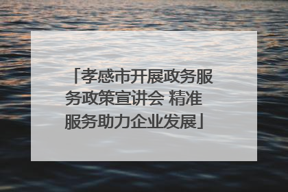 孝感市开展政务服务政策宣讲会 精准服务助力企业发展