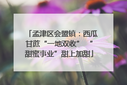 孟津区会盟镇：西瓜甘蔗“一地双收” “甜蜜事业”甜上加甜