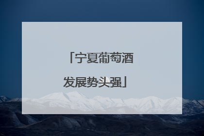 宁夏葡萄酒发展势头强