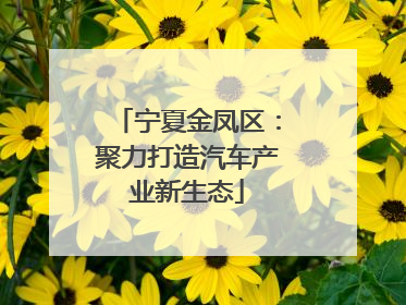 宁夏金凤区：聚力打造汽车产业新生态