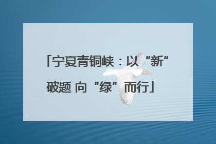 宁夏青铜峡：以“新”破题 向“绿”而行