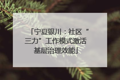 宁夏银川：社区“三力”工作模式激活基层治理效能