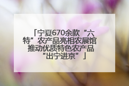 宁夏670余款“六特”农产品亮相农展馆 推动优质特色农产品“出宁进京”