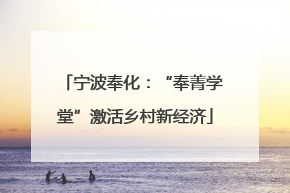 宁波奉化：“奉菁学堂”激活乡村新经济