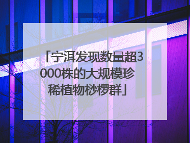 宁洱发现数量超3000株的大规模珍稀植物桫椤群