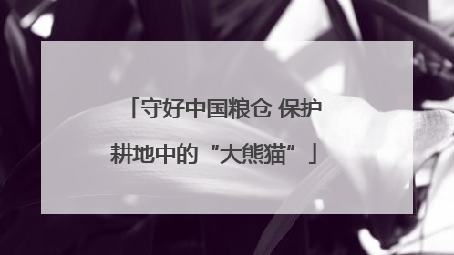 守好中国粮仓 保护耕地中的“大熊猫”