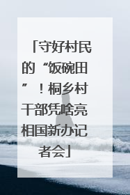 守好村民的“饭碗田”！桐乡村干部凭啥亮相国新办记者会