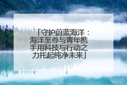 守护蔚蓝海洋：海洋至尊与青年携手用科技与行动之力托起纯净未来